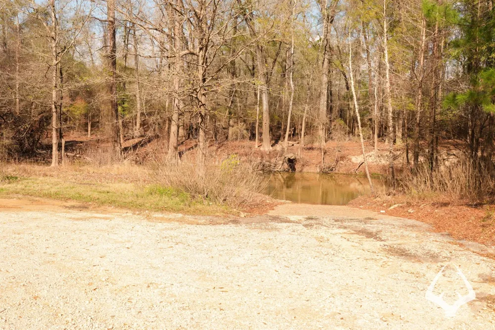 00 Recreational Road 255 Colmesneil, TX 75938