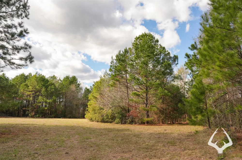 00 Recreational Road 255 Colmesneil, TX 75938