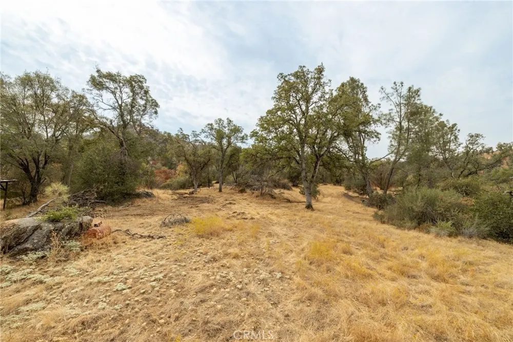 40117 Road 600 Ahwahnee, CA 93601