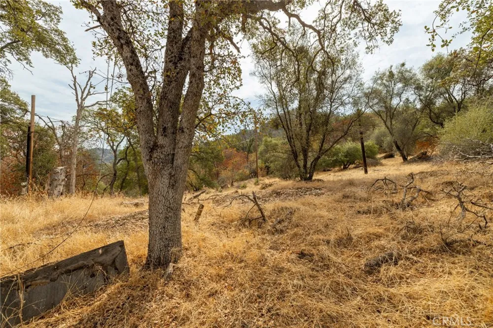 40117 Road 600 Ahwahnee, CA 93601