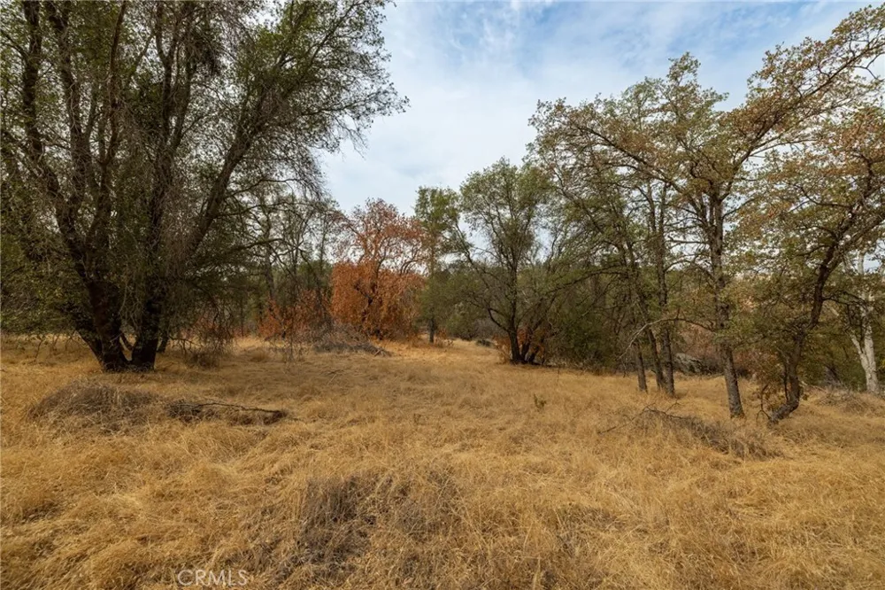 40117 Road 600 Ahwahnee, CA 93601