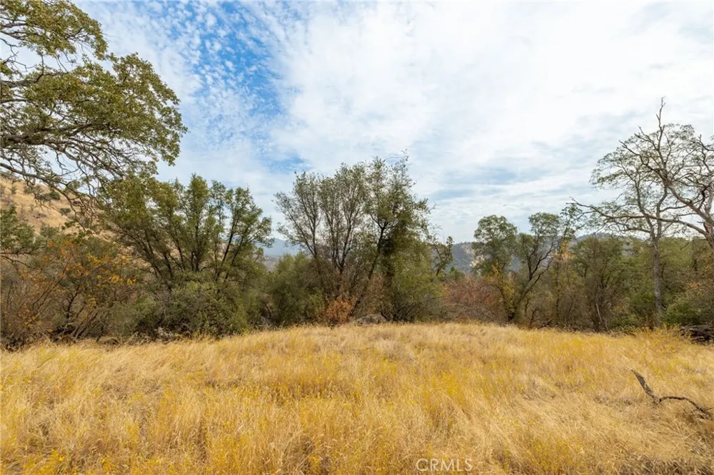 40117 Road 600 Ahwahnee, CA 93601