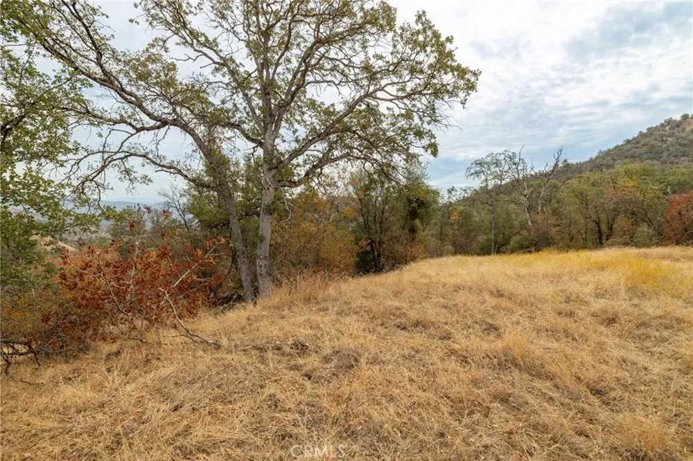 40117 Road 600 Ahwahnee, CA 93601