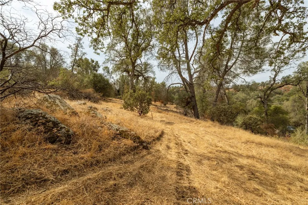 40117 Road 600 Ahwahnee, CA 93601