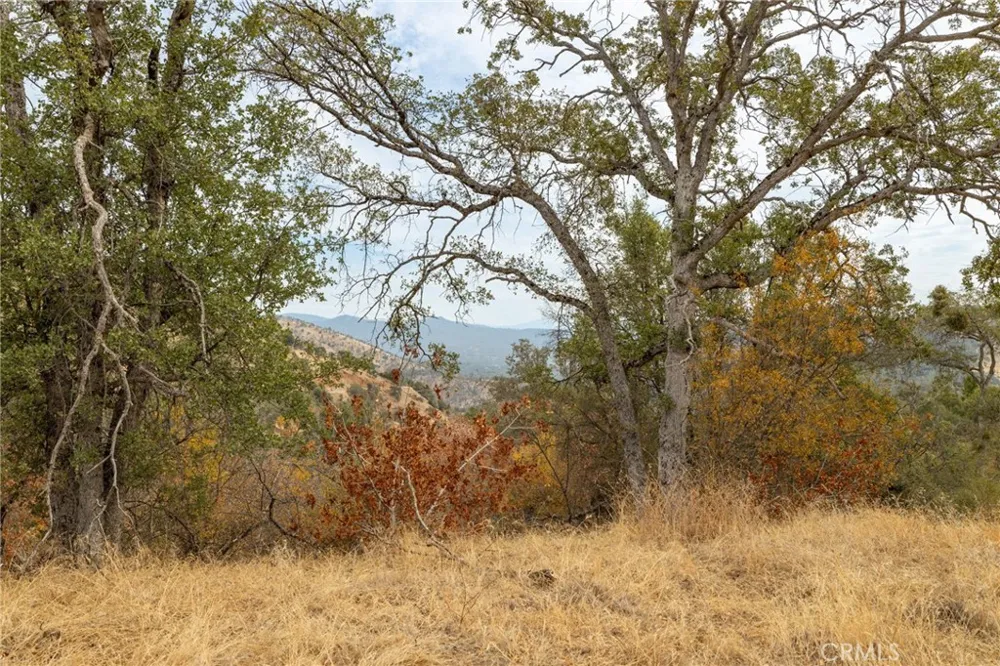 40117 Road 600 Ahwahnee, CA 93601