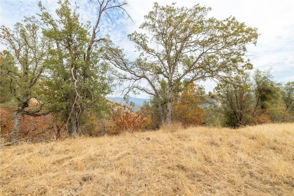 40117 Road 600 Ahwahnee, CA 93601