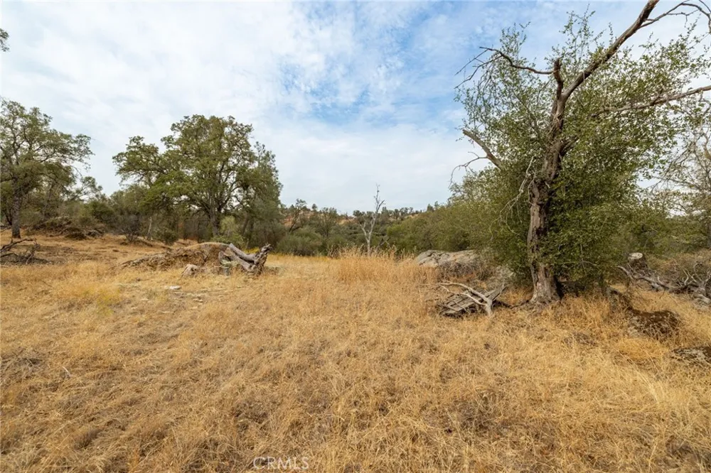 40117 Road 600 Ahwahnee, CA 93601