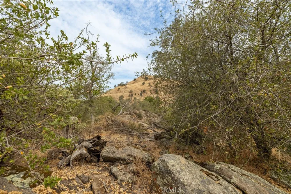 40117 Road 600 Ahwahnee, CA 93601
