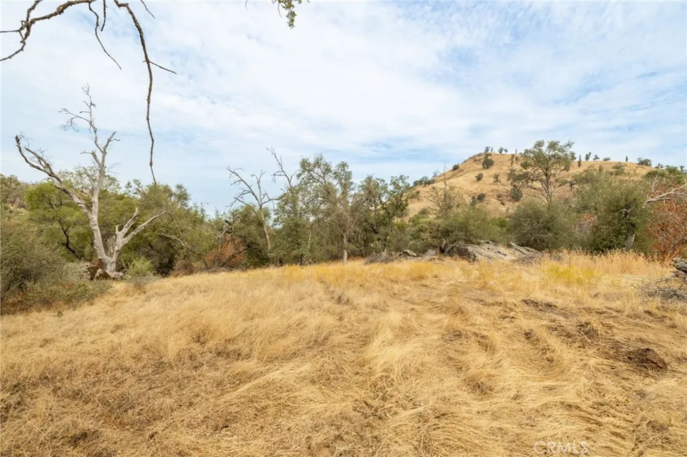 40117 Road 600 Ahwahnee, CA 93601