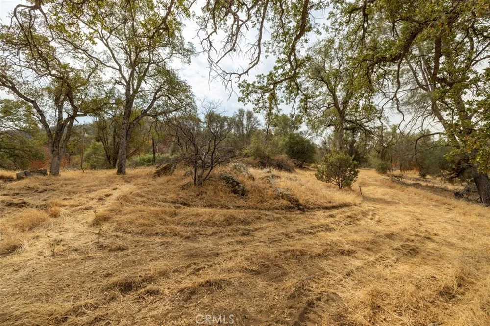 40117 Road 600 Ahwahnee, CA 93601