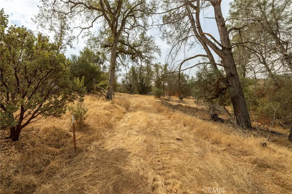 40117 Road 600 Ahwahnee, CA 93601