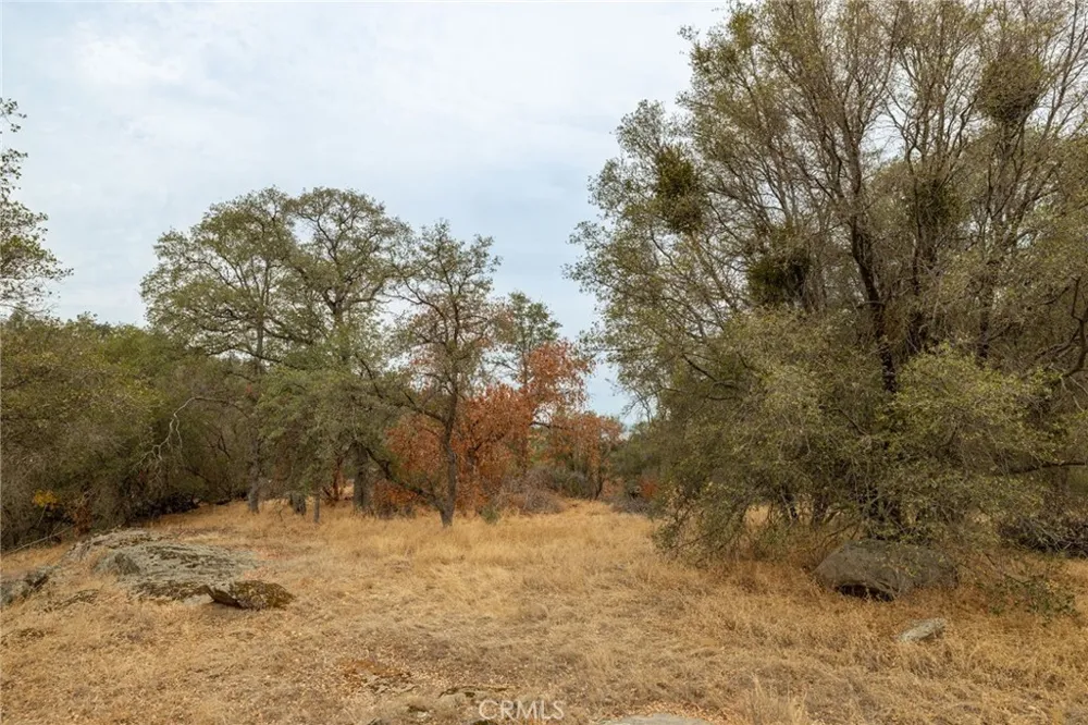 40117 Road 600 Ahwahnee, CA 93601