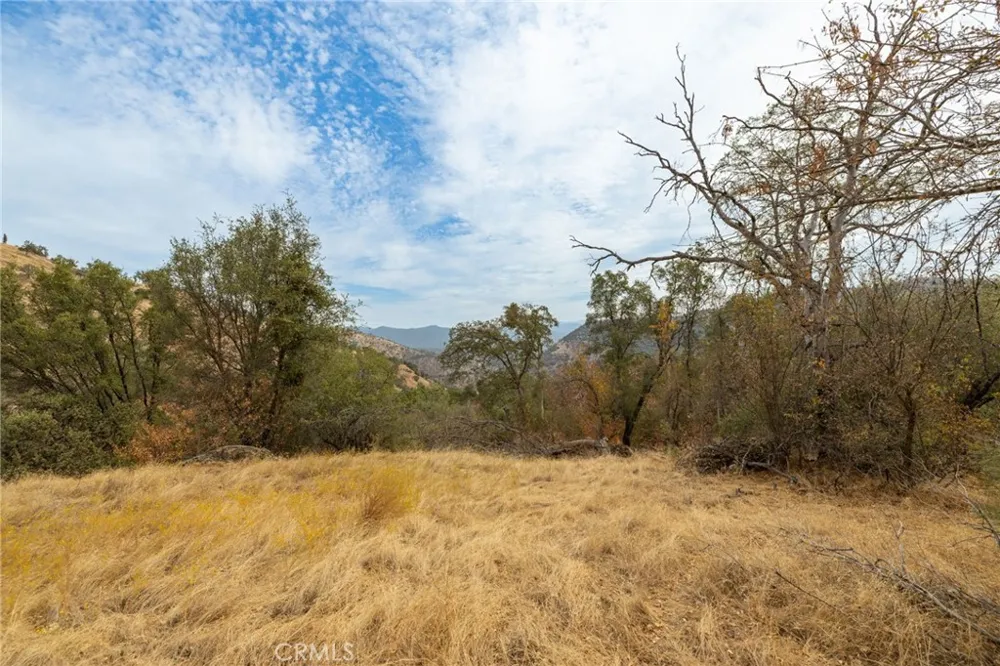 40117 Road 600 Ahwahnee, CA 93601