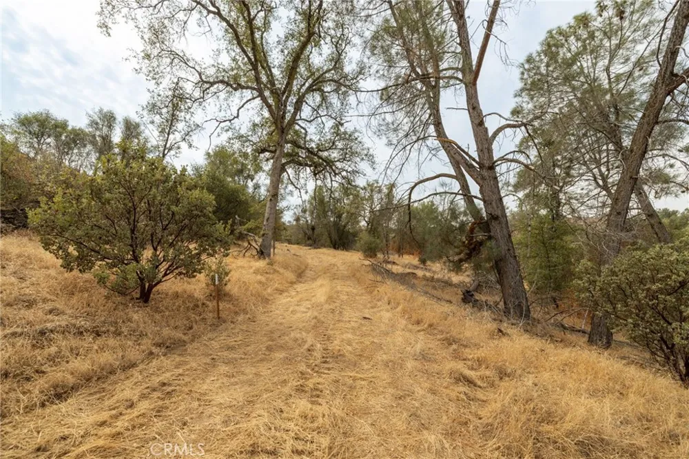 40117 Road 600 Ahwahnee, CA 93601