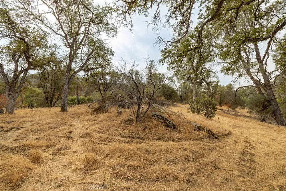 40117 Road 600 Ahwahnee, CA 93601