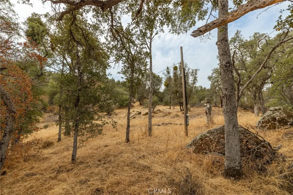40117 Road 600 Ahwahnee, CA 93601