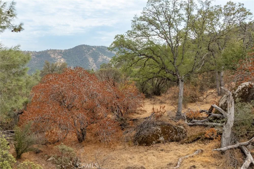 40117 Road 600 Ahwahnee, CA 93601