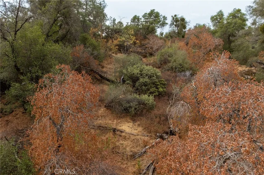 40117 Road 600 Ahwahnee, CA 93601