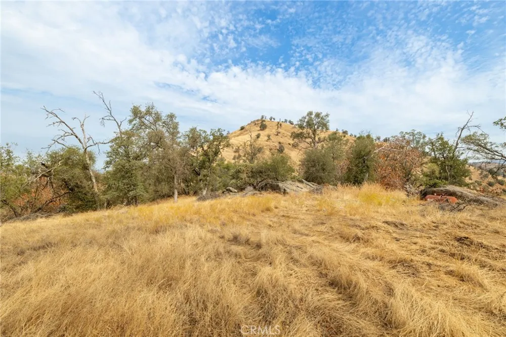 40117 Road 600 Ahwahnee, CA 93601