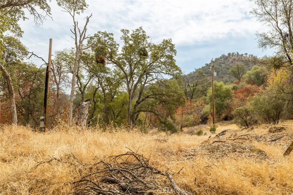 40117 Road 600 Ahwahnee, CA 93601