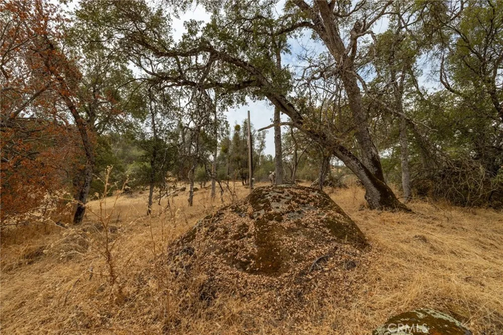 40117 Road 600 Ahwahnee, CA 93601