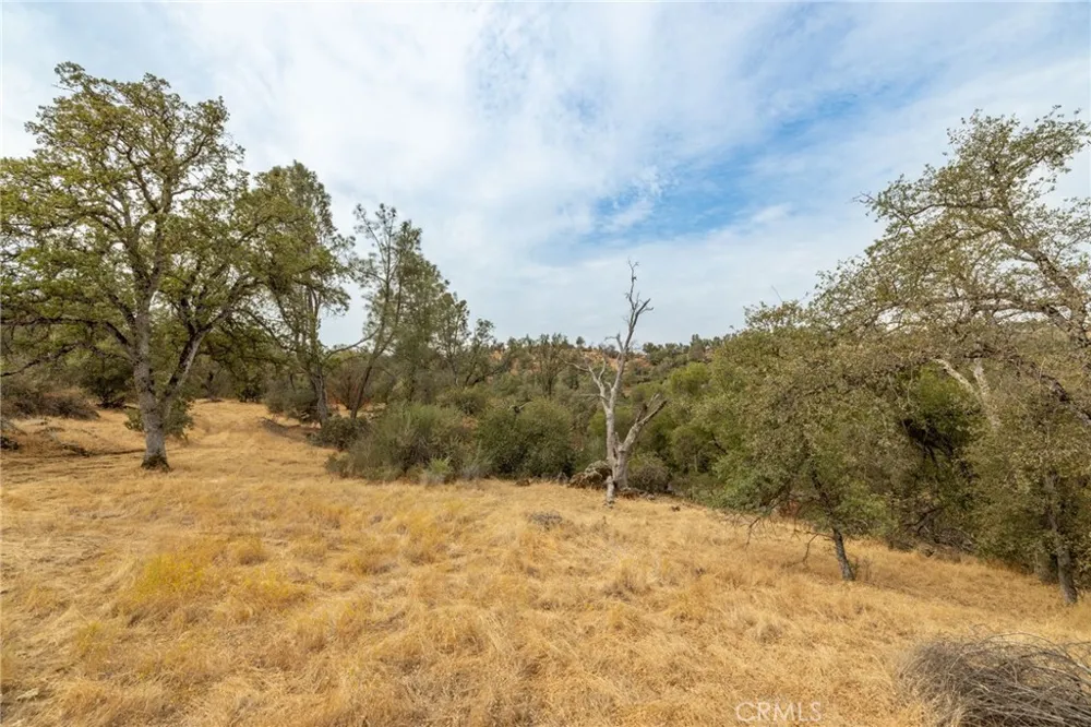 40117 Road 600 Ahwahnee, CA 93601