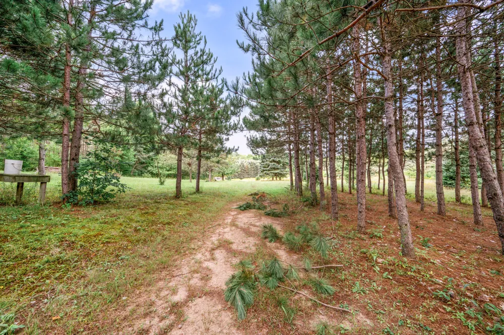 9957 150th Avenue Cedar Township, MI 49677