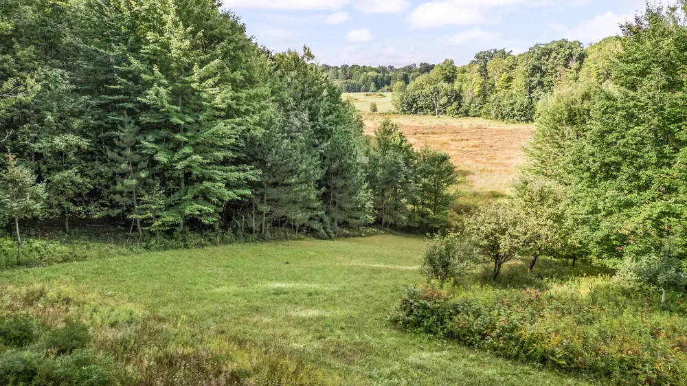 9957 150th Avenue Cedar Township, MI 49677