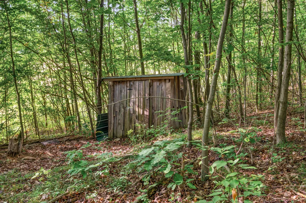 9957 150th Avenue Cedar Township, MI 49677