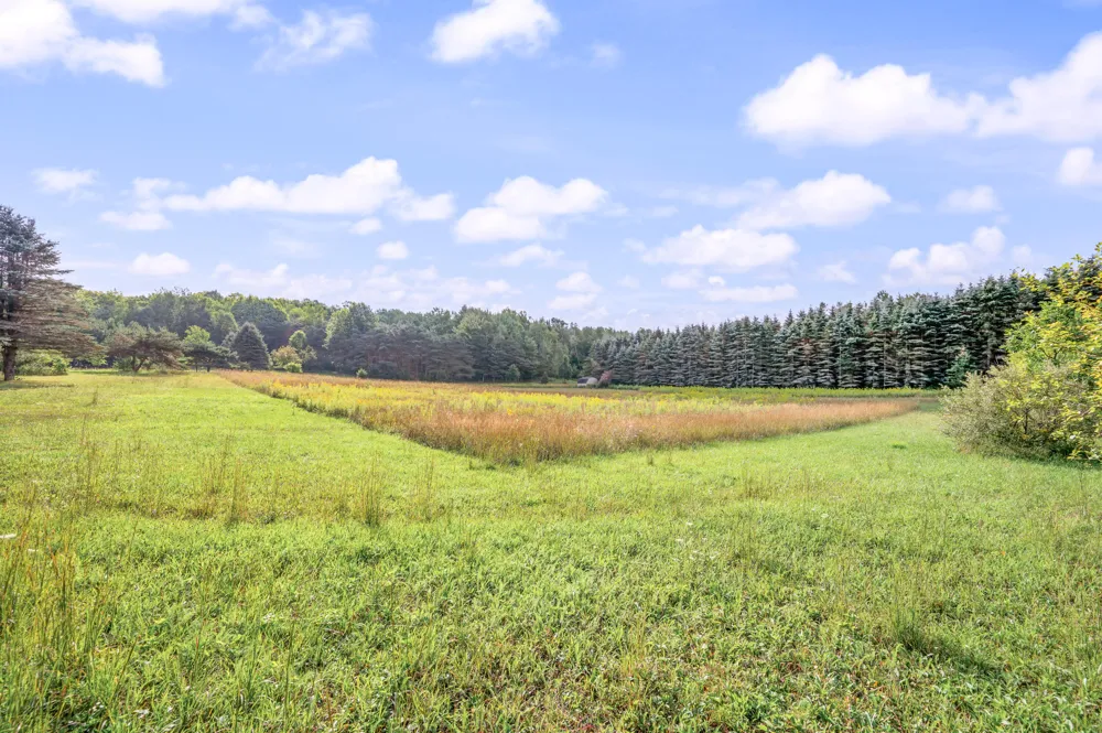 9957 150th Avenue Cedar Township, MI 49677