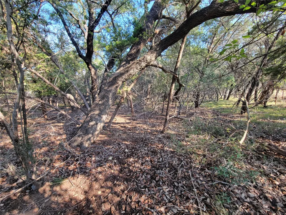 21801 Bluejay Boulevard Lago Vista, TX 78645
