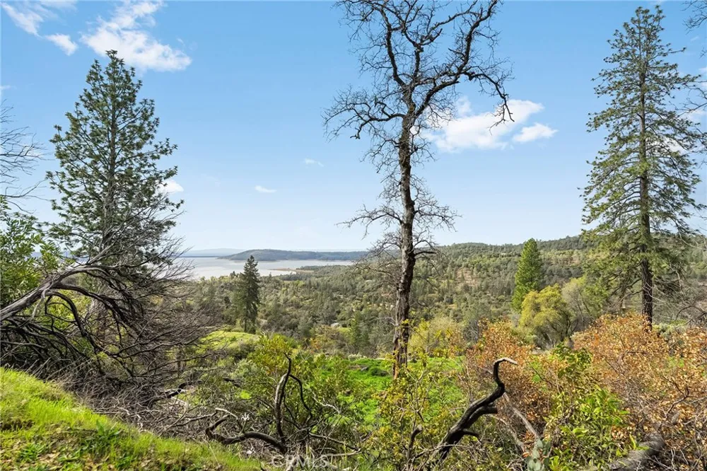 Canyon Creek Road Berry Creek, CA 95916