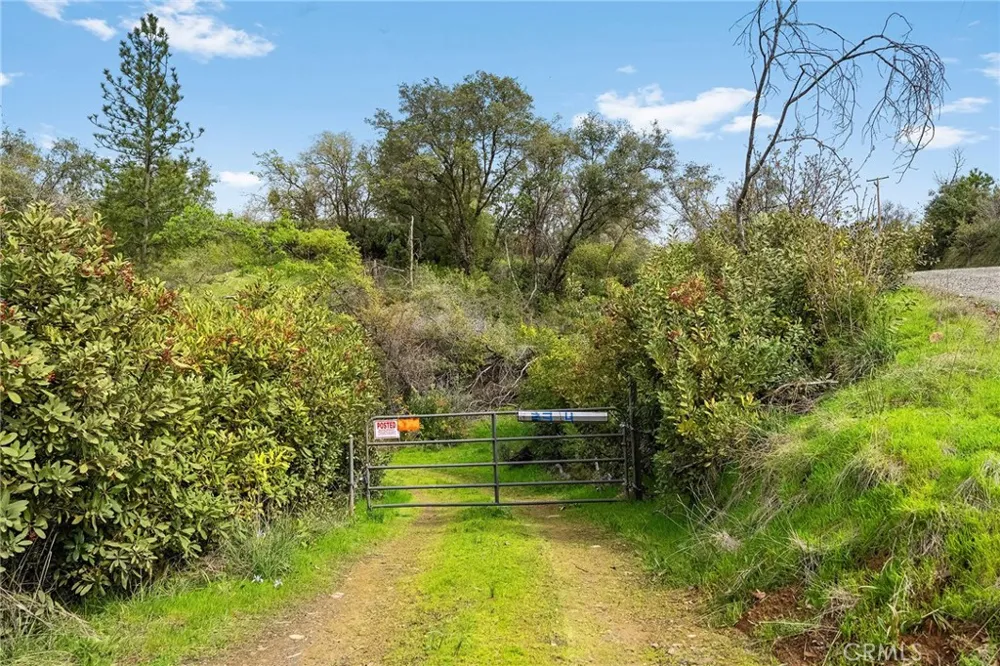 Canyon Creek Road Berry Creek, CA 95916
