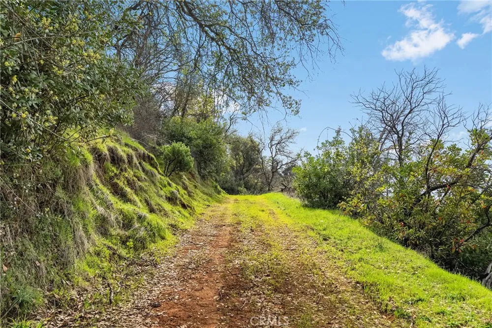 Canyon Creek Road Berry Creek, CA 95916