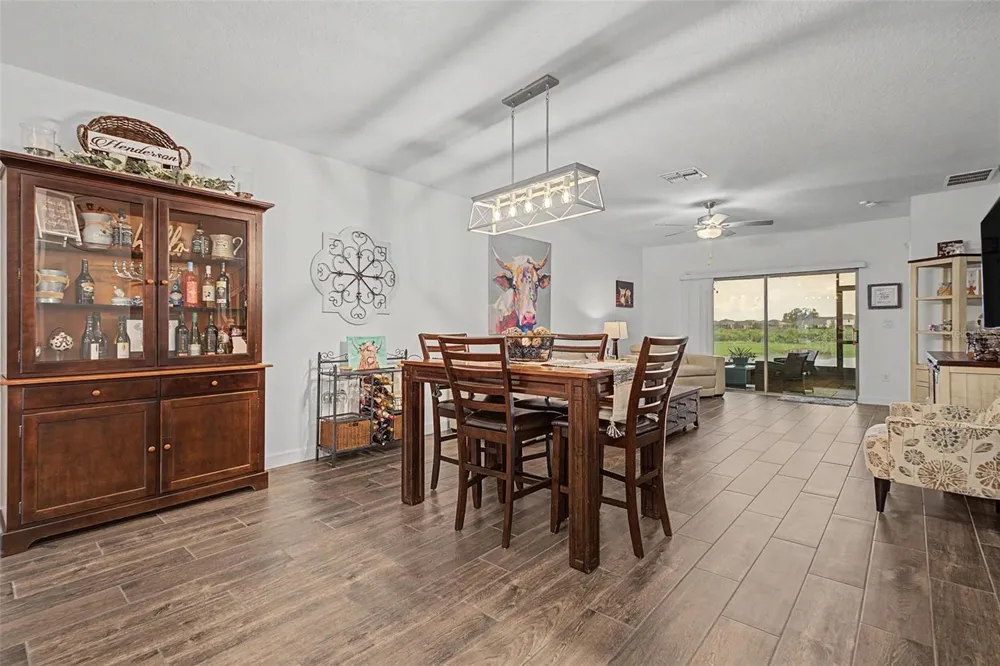 32172 CANNON RUSH DRIVE San Antonio, FL 33576