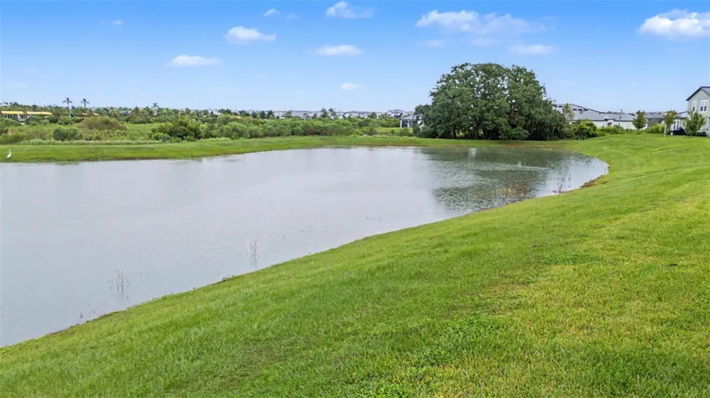 32172 CANNON RUSH DRIVE San Antonio, FL 33576