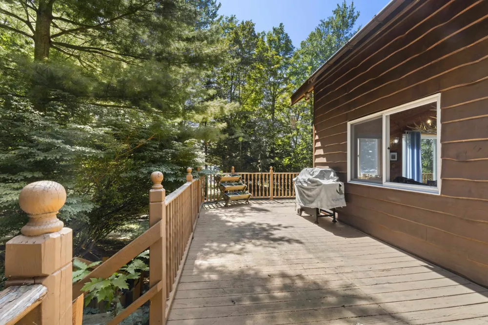 1518 Birch Blaine Township, MI 49635