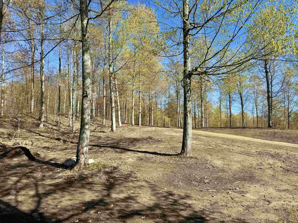 57 S Hermies Pass Empire Township, MI 49630