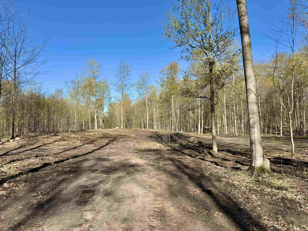 57 S Hermies Pass Empire Township, MI 49630