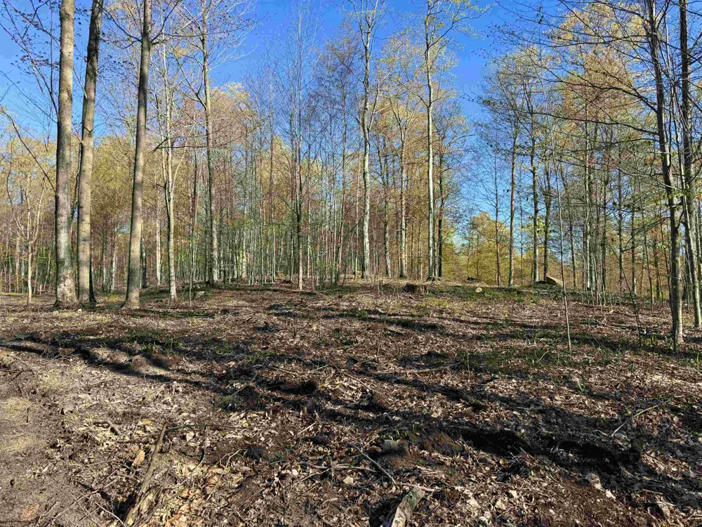 57 S Hermies Pass Empire Township, MI 49630
