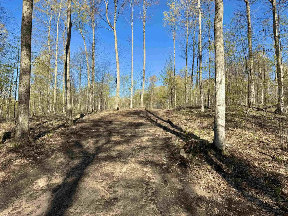 57 S Hermies Pass Empire Township, MI 49630