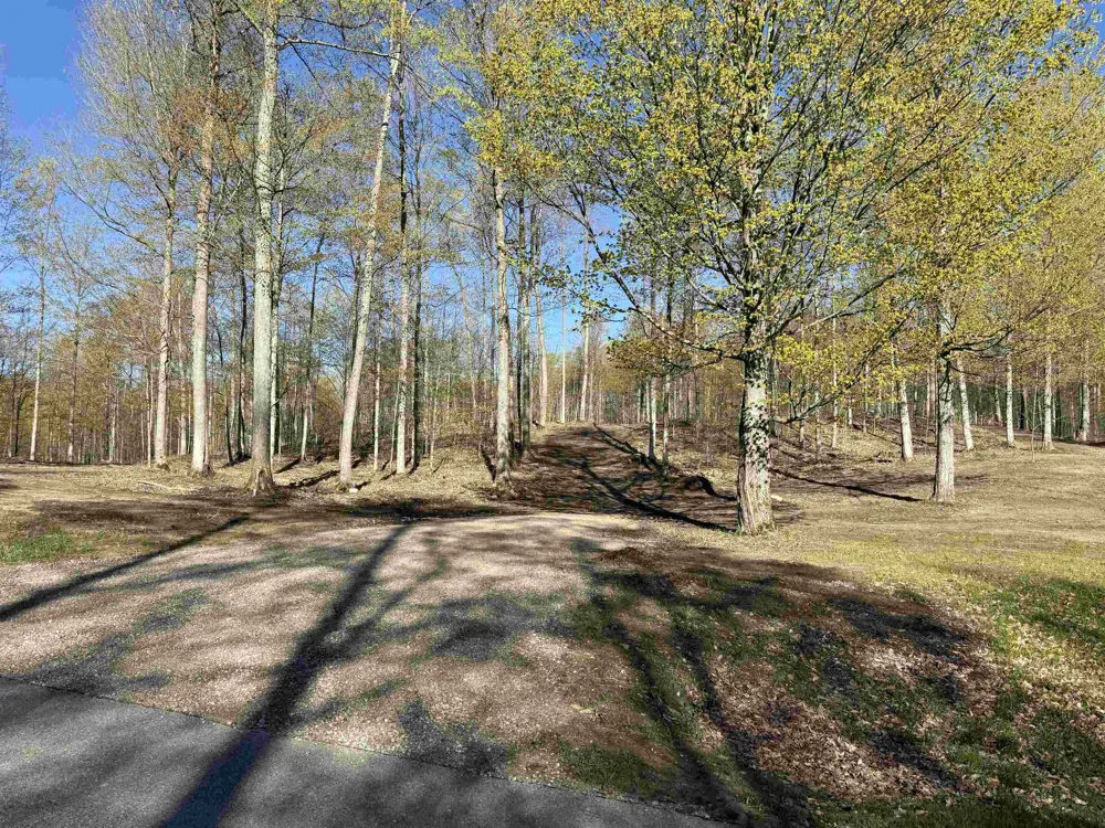 57 S Hermies Pass Empire Township, MI 49630