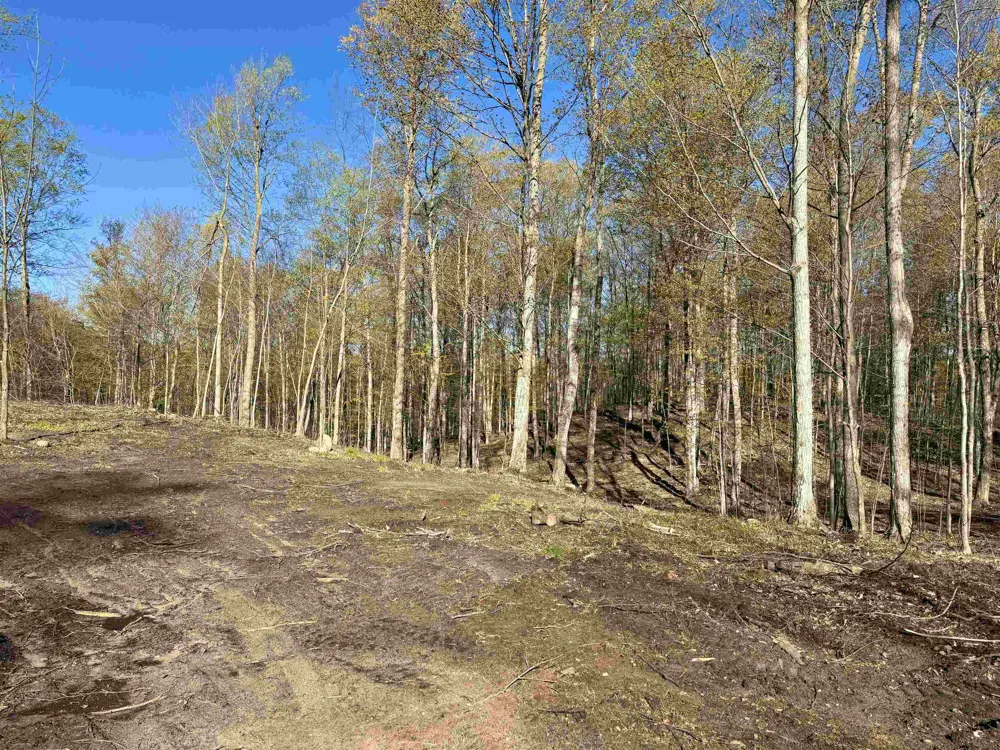 57 S Hermies Pass Empire Township, MI 49630