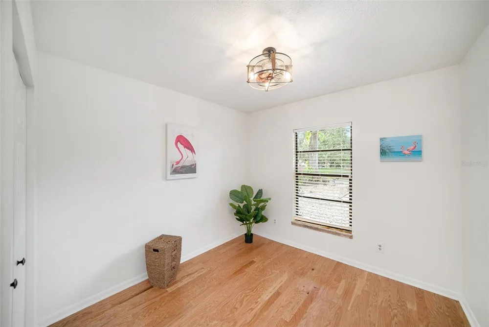 1923 BAYSHORE COURT Safety Harbor, FL 34695