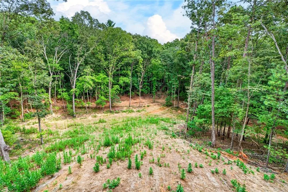 1030 Old Flat Branch Rd Ellijay, GA 30540