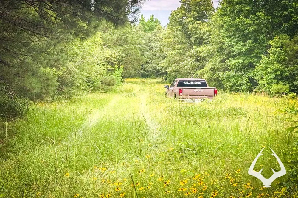 1580 00 County Road 4366 Tenaha, TX 75974