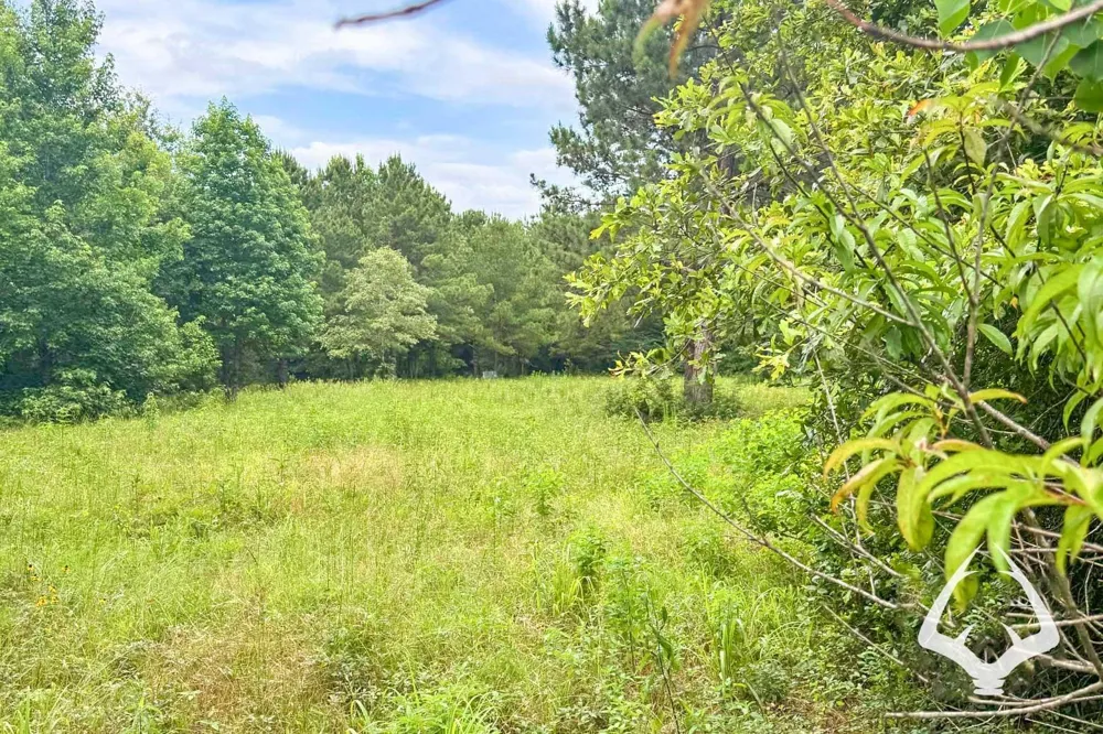 1580 00 County Road 4366 Tenaha, TX 75974