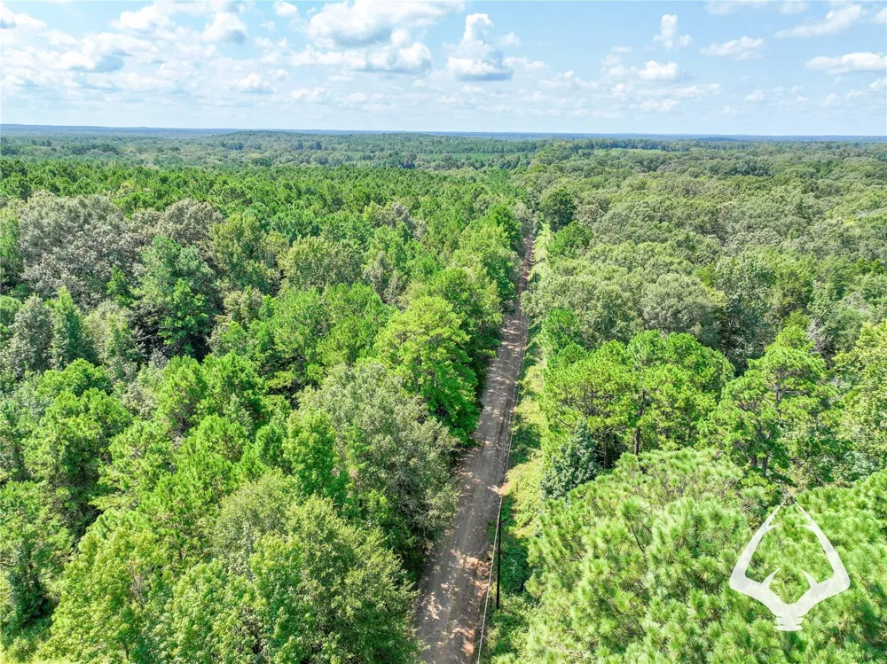 1580 00 County Road 4366 Tenaha, TX 75974