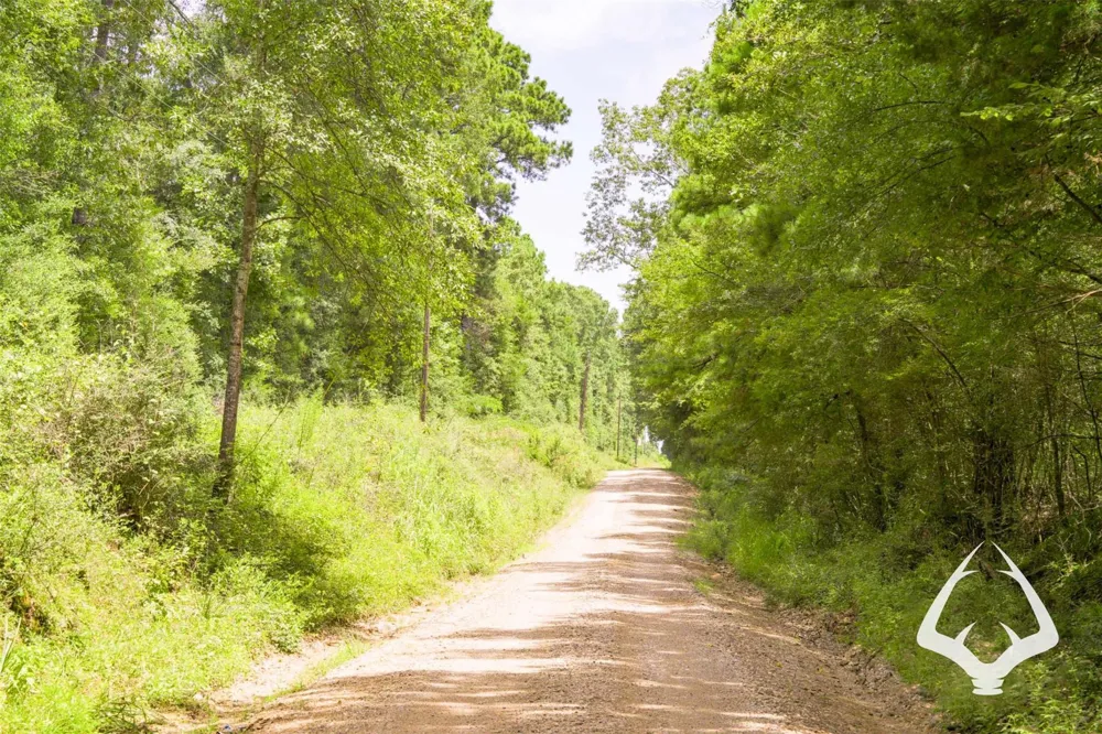 1580 00 County Road 4366 Tenaha, TX 75974