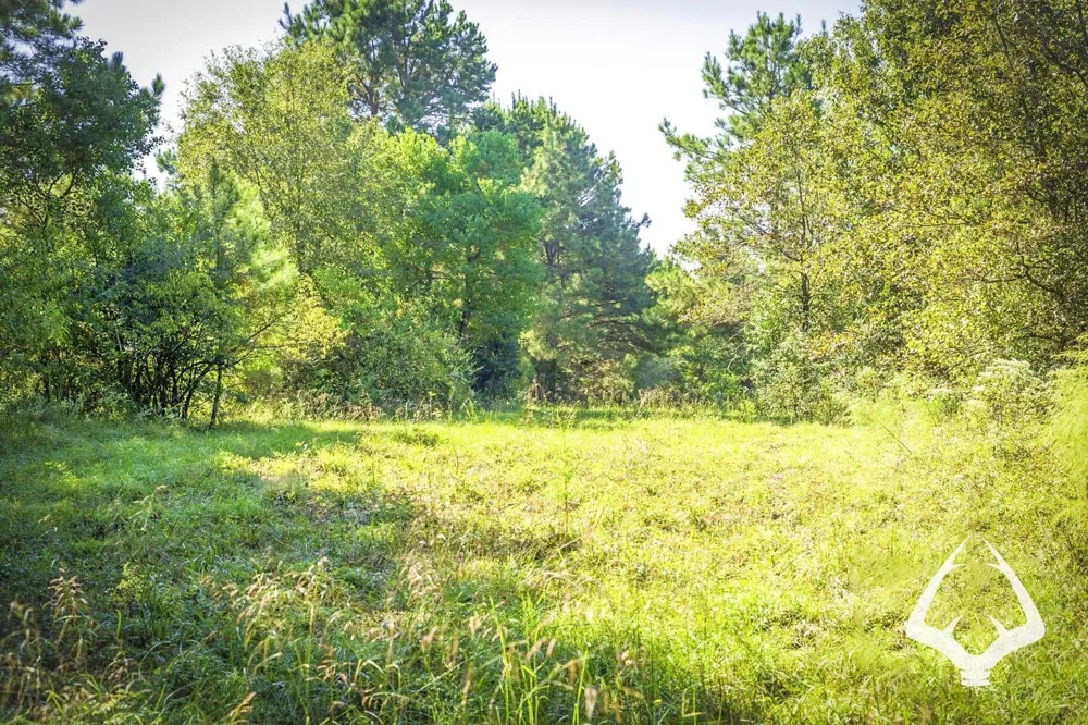 1580 00 County Road 4366 Tenaha, TX 75974